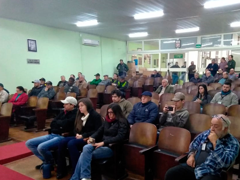 Sem-Título-1