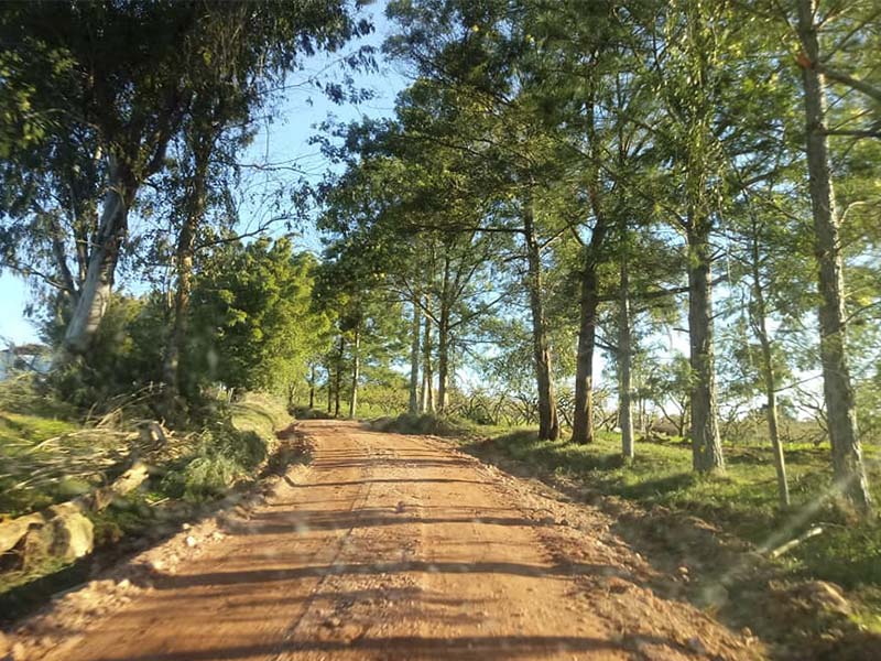 Secretaria de Desenvolvimento Rural realiza melhorias no interior de Cerrito