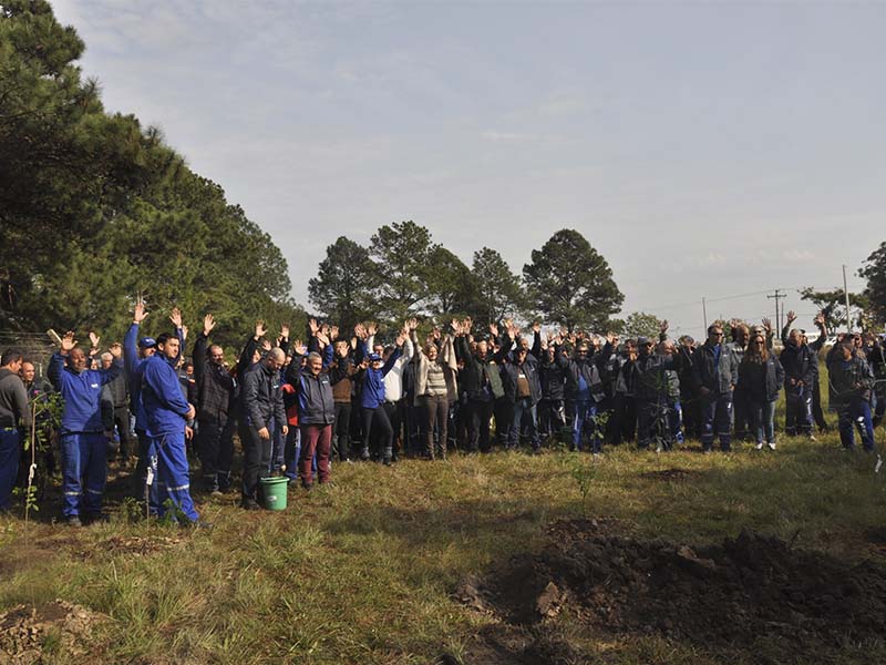 Mais de 200 mudas de plantas nativas são plantadas em Horto Municipal de Pelotas