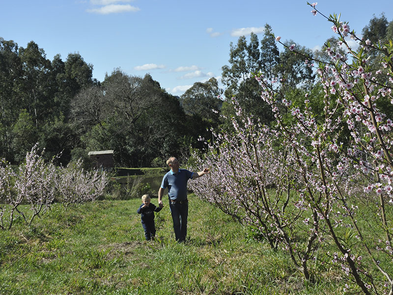 pessego agro