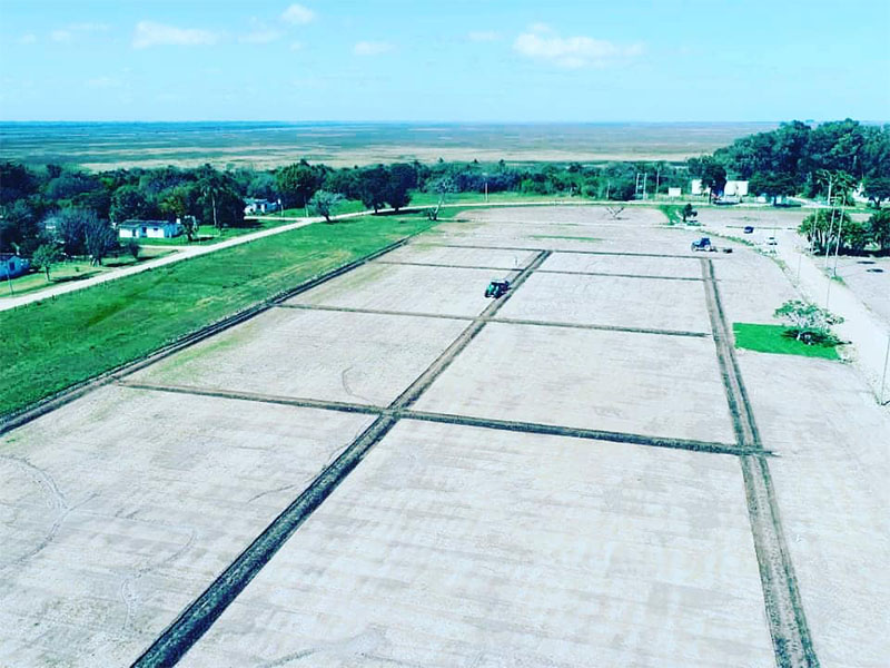 abertura