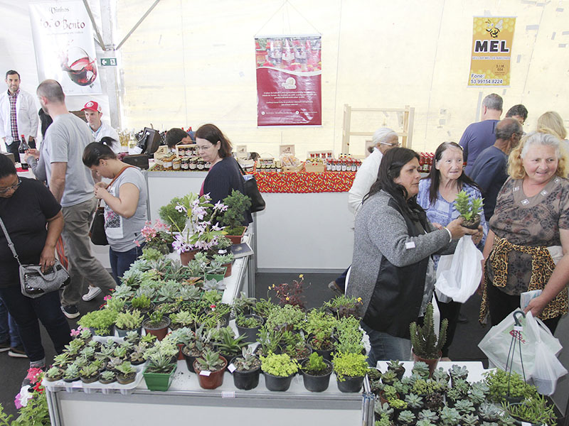 agricultura familiar