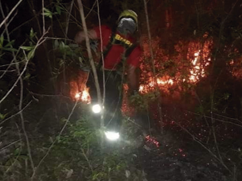Incêndio acidental é controlado por Bombeiros e Defesa Civil em Morro Redondo