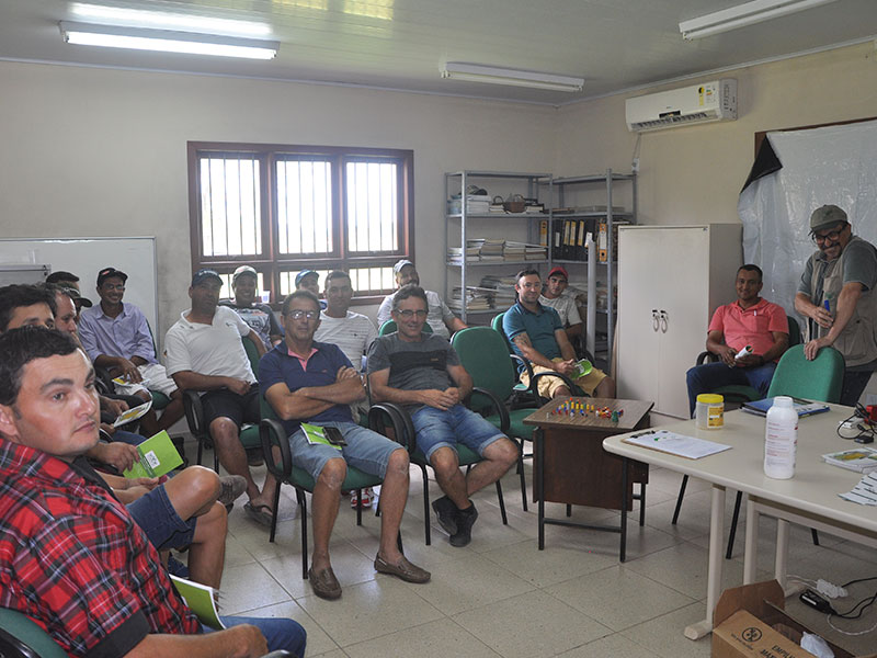 Sem-Título-1