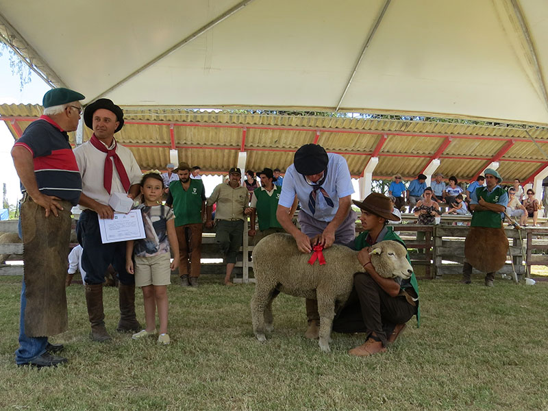 21º Concurso Municipal de Borregas acontece em Jaguarão