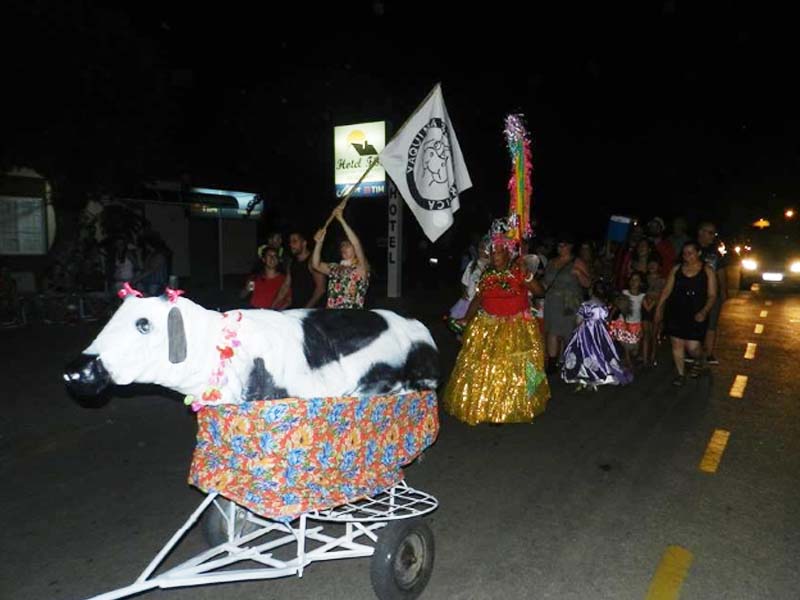 Bloco Vaquinha Tiririca desfila pelo segundo ano em Morro Redondo