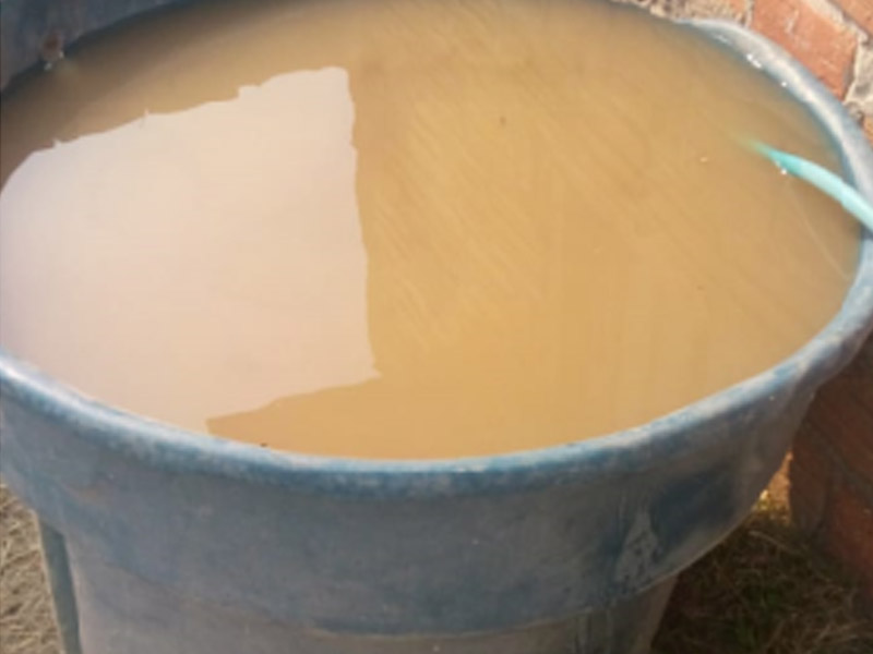Moradores de Capão do Leão reclamam da cor da água fornecida pela Corsan