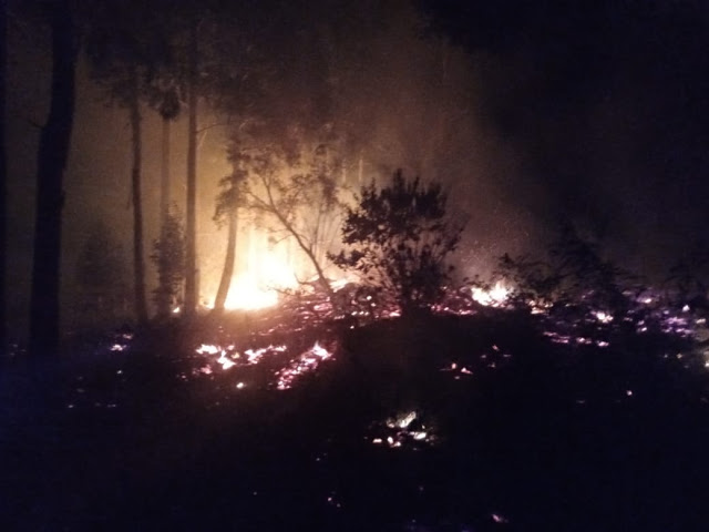 Incêndio é registrado em propriedade no Arvorito, interior de Canguçu