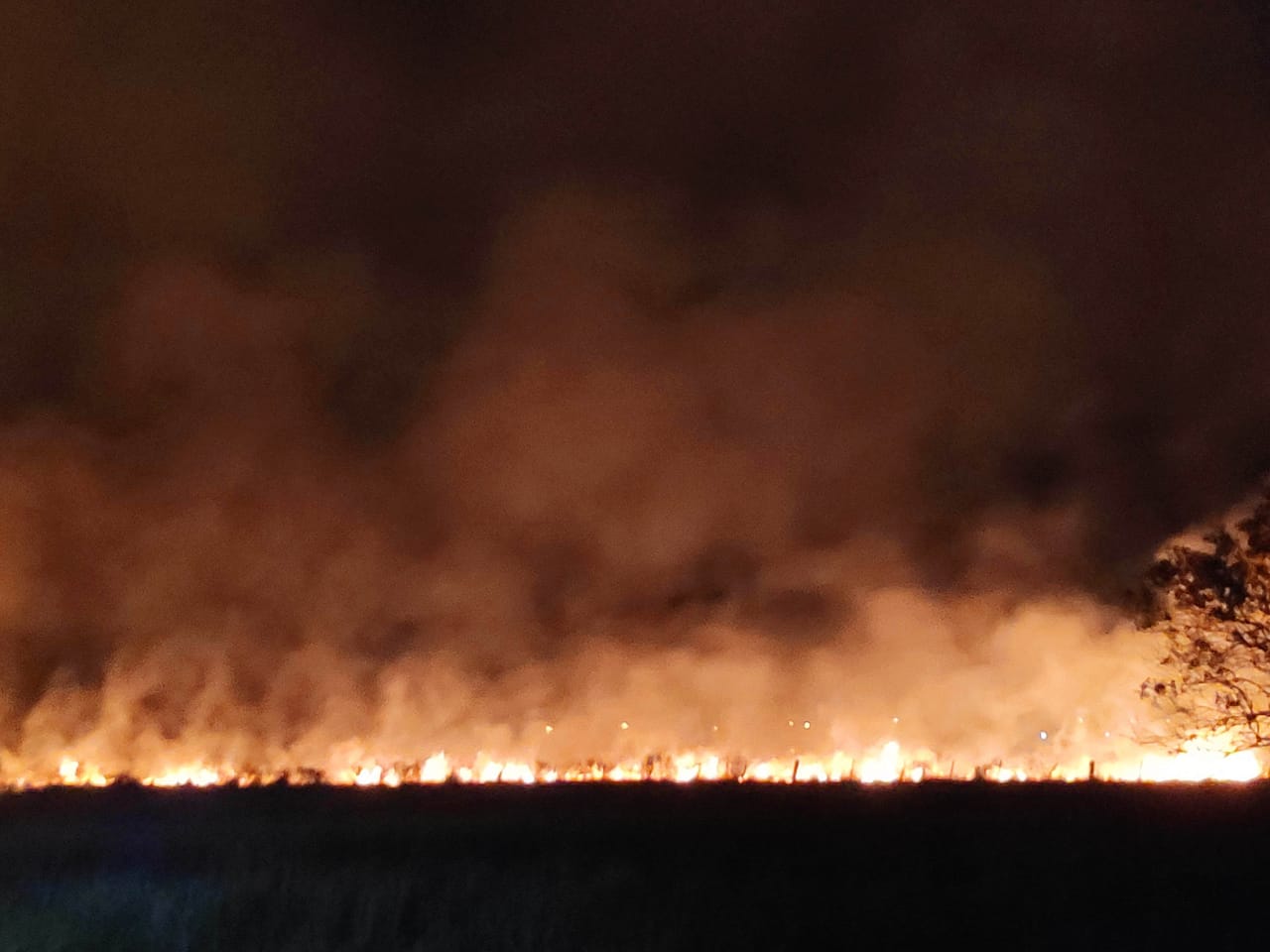 Fogo atinge 150 mil metros quadrados de vegetação em São Lourenço do Sul