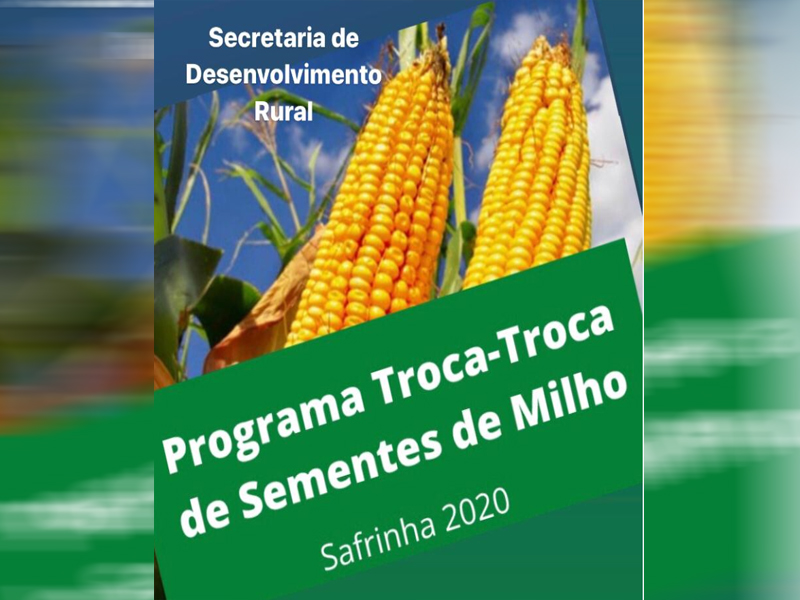 Prefeitura de Pelotas abre inscrições para a safrinha do Troca-Troca de Sementes de Milho