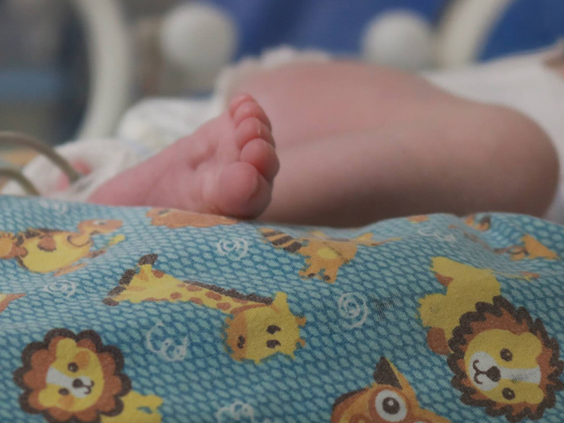 Liga de Ginecologia e Obstetrícia da UFPel destinará parte da renda à maternidades do SUS de Pelotas