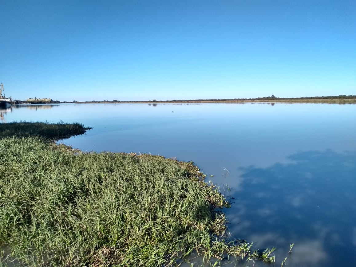 Pelotas: São Gonçalo sobe e água ameaça moradias da Barra e Doquinhas