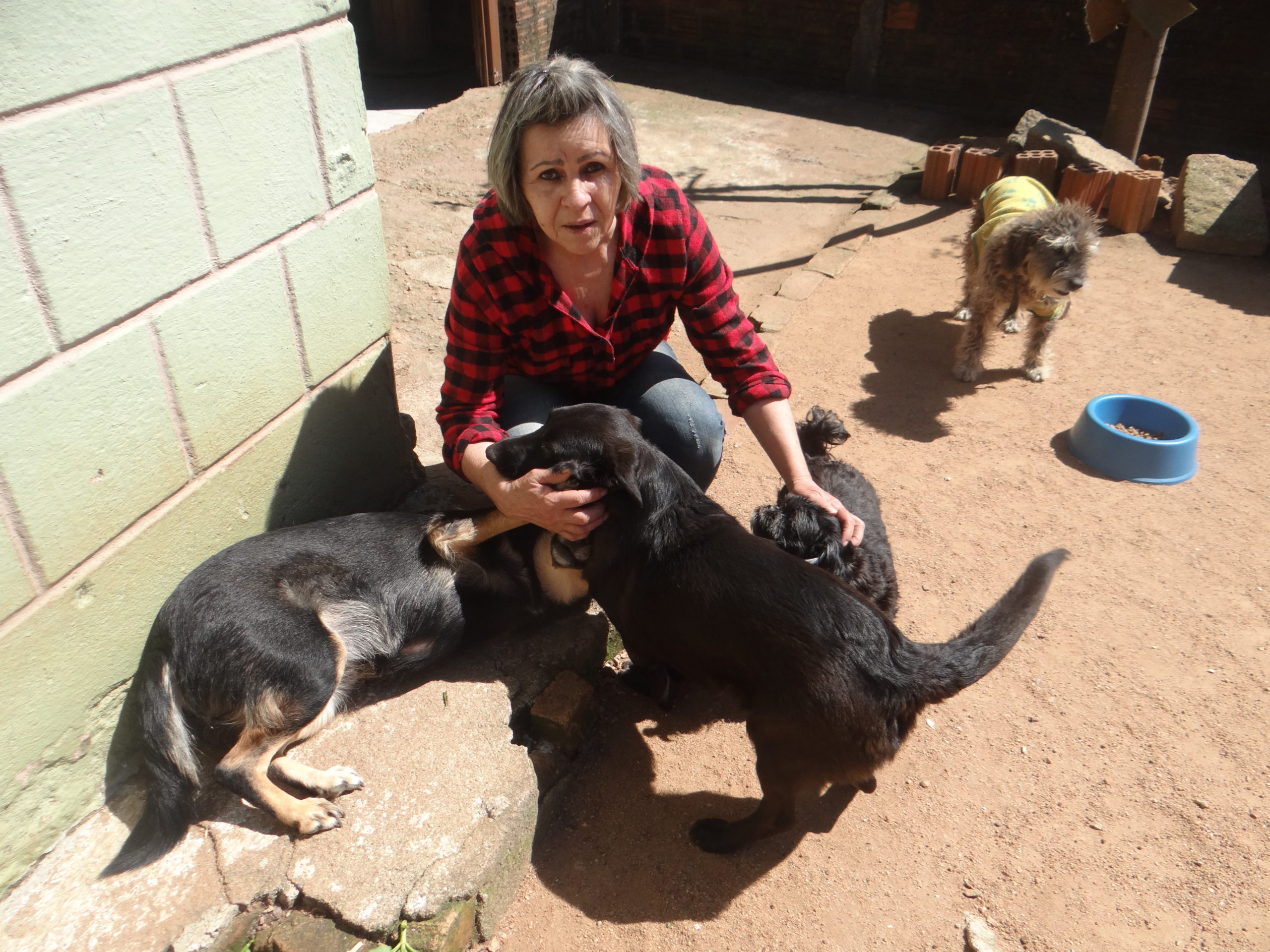 Piratini: Voluntária que recolhe cães das ruas fala do seu amor aos animais