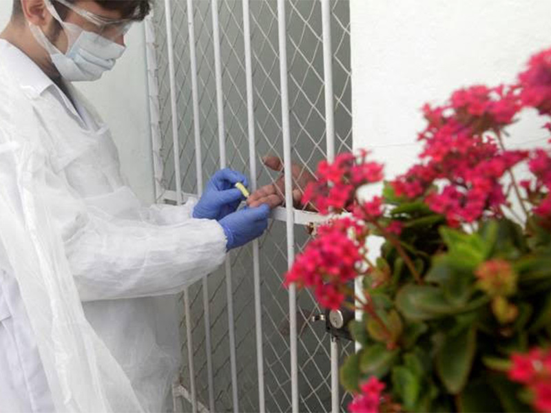 Pesquisa sobre coronavírus sugere desaceleração da pandemia no Rio Grande do Sul