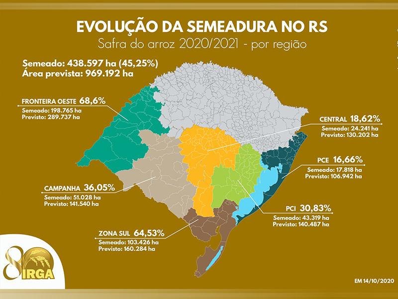 Semeadura do arroz no RS alcança 45,25%