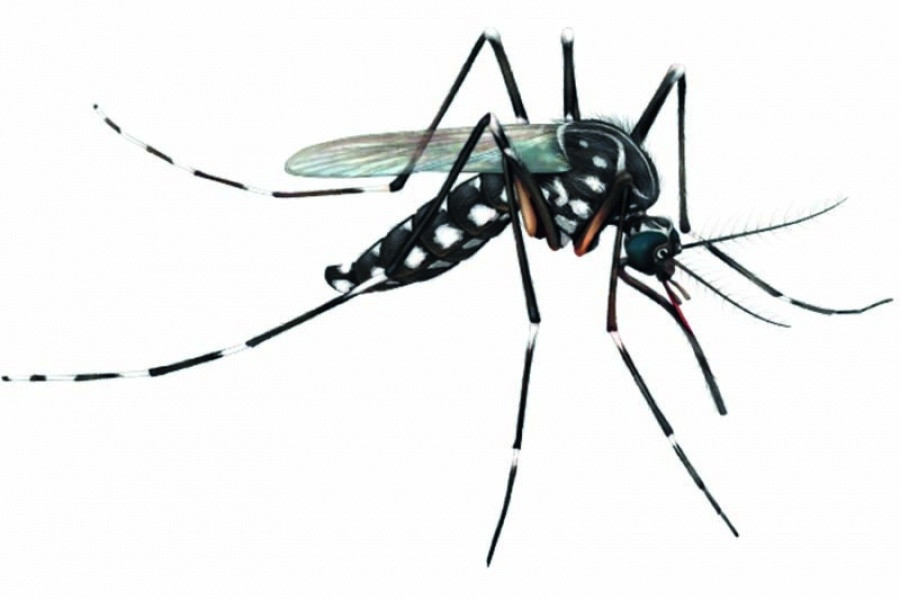Turuçu realiza ações de combate ao Aedes aegypti