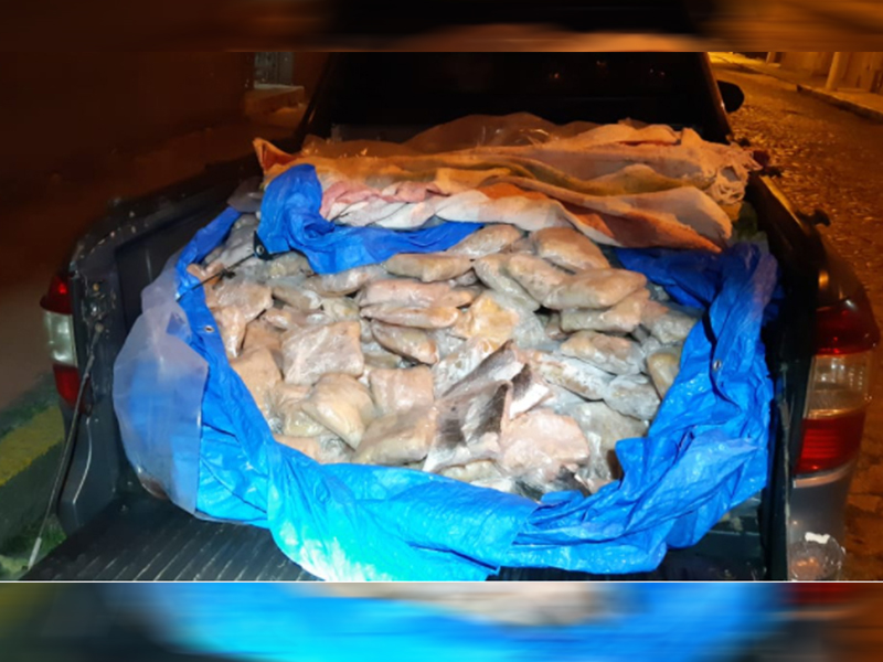 PRF apreende quase meia tonelada de peixe em Pelotas