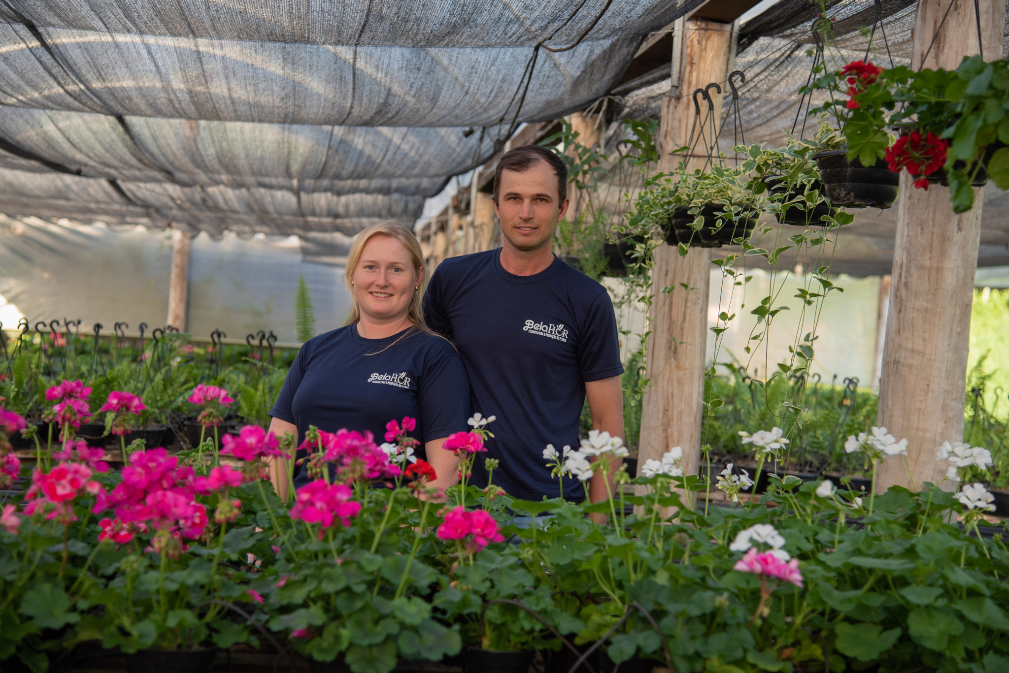 Conheça as flores e plantas indicadas para o verão