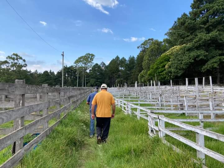 parque charrua