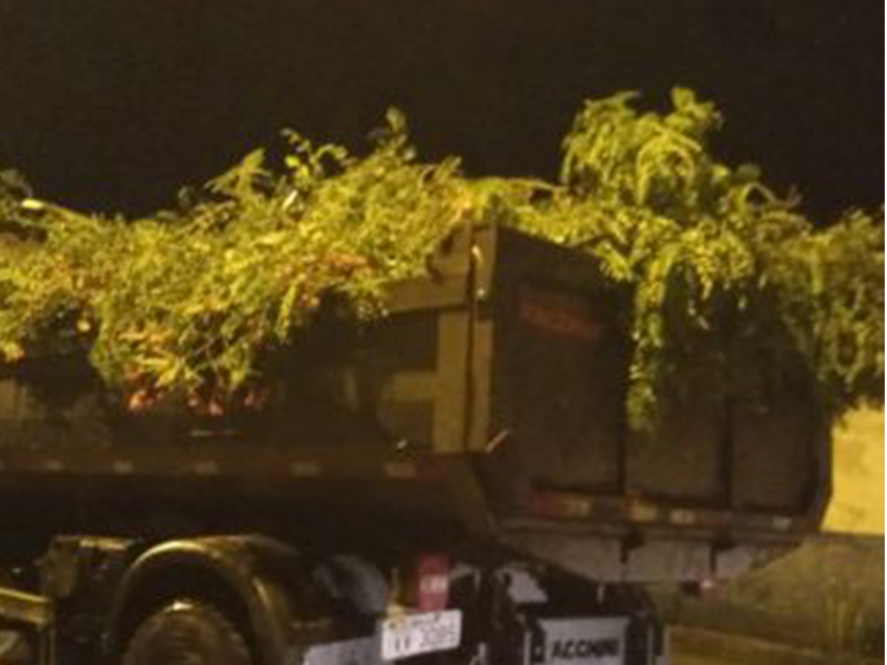 Temporal causa morte de uma pessoa, derruba árvores e alaga ruas em Rio Grande