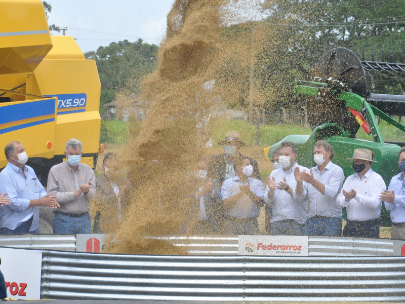 Federarroz apresenta painel de mercado do arroz e da soja
