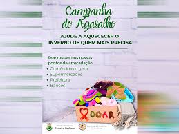 campanha pinheiro