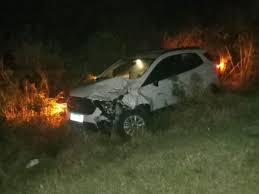 Acidente na BR 116: Veículo bate em animal na pista