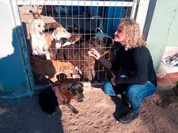 São Lourenço do Sul: Vereadora Fabiane (PSB) protocola projeto de lei para cadastro de lares temporários para animais abandonados