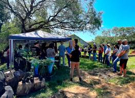 Programa Água Legal realiza Dia de Campo em Qualidade da Água no Morro Redondo