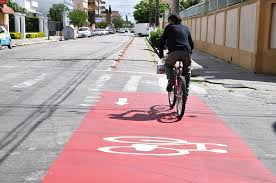 Pelotas: Prefeitura realiza podas para qualificar tráfego em ciclovias
