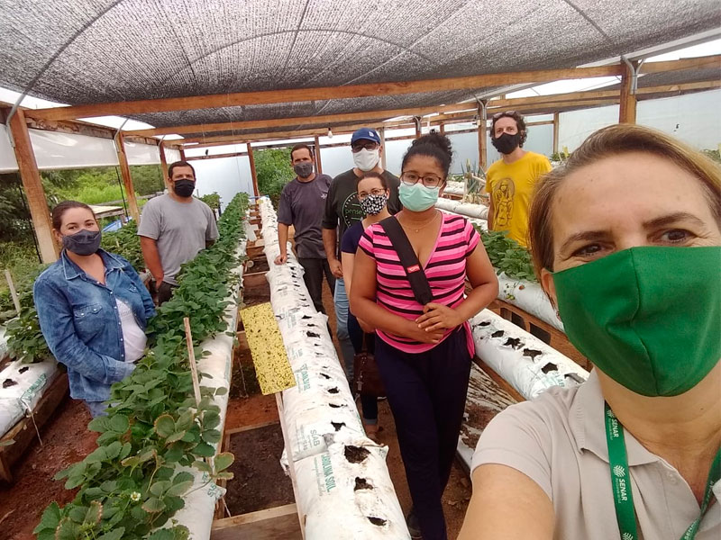 Curso Básico de Pequenos Frutos do Senar é realizado em Morro Redondo