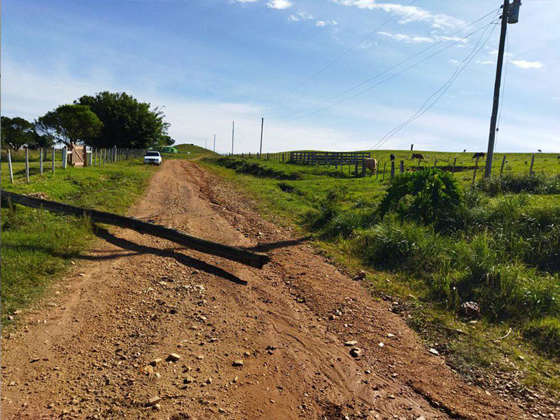 Pinheiro Machado: Queda de poste de luz bloqueia estrada de acesso a Alto Bonito