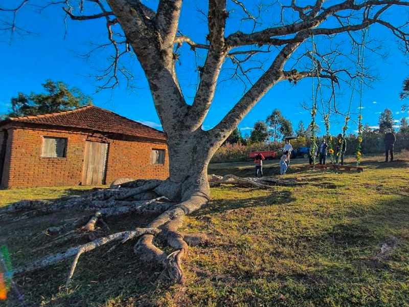 Propriedade-Vida-na-Terra-Canguçu