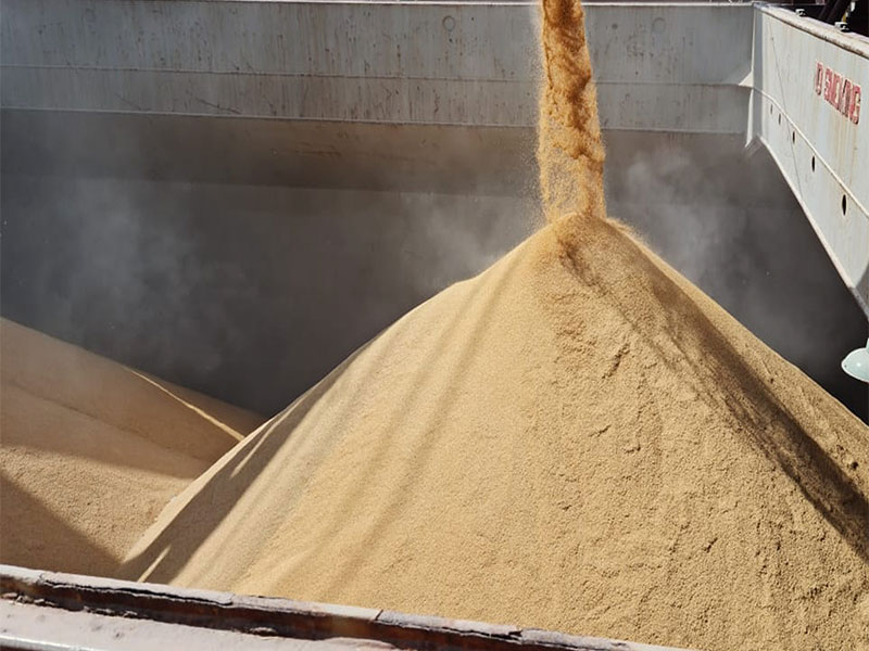 Embarque de 30 mil toneladas de arroz em casca para o México é confirmado