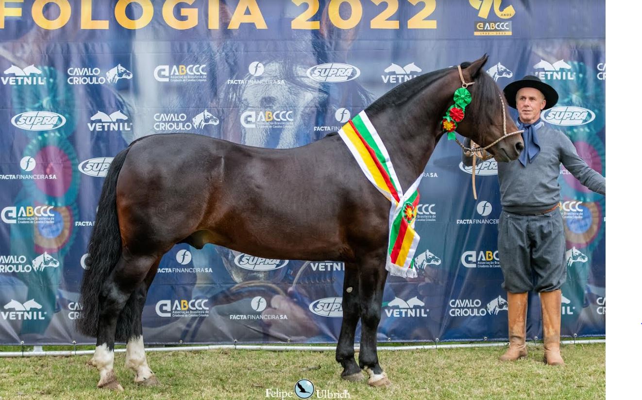 Jaguarão já possui seus campeões do Morfologia Passaporte