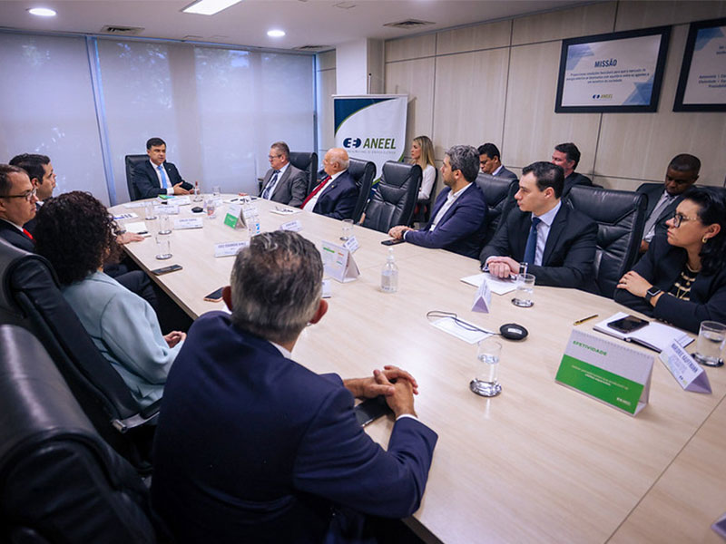 Aneel analisará possibilidade de reverter decisão sobre termoelétrica em Rio Grande