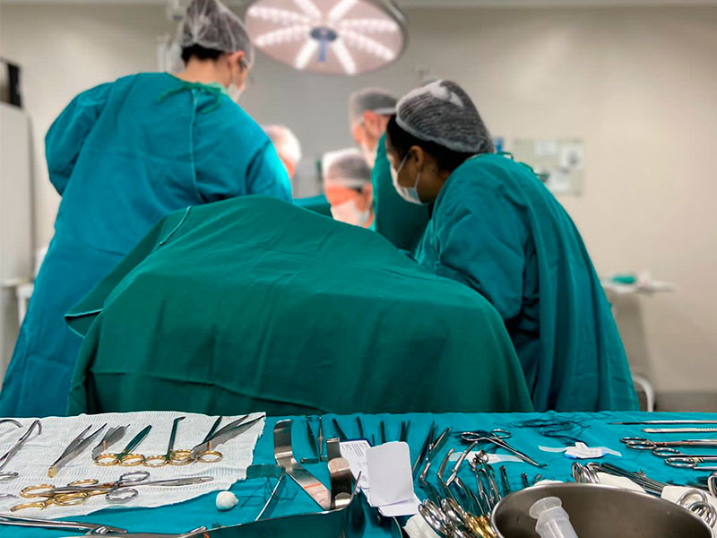 Pelotas: HUSFP/UCPel realiza transplante renal