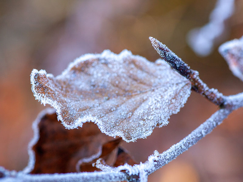 Defesa Civil Nacional alerta para frio intenso no Sul, Sudeste e Centro-Oeste do País