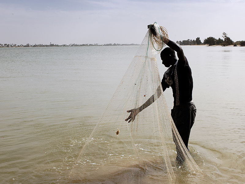 Pesca: Frente parlamentar se reúne com INSS para discutir seguro-defeso