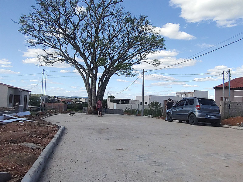 Herval: Obra de pavimentação preserva árvore no meio da via