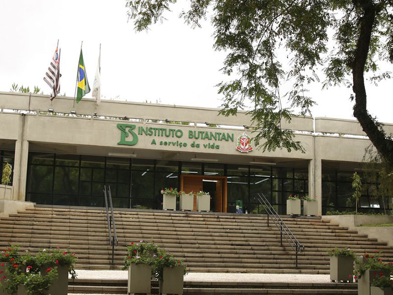 Vacina contra a dengue do Butantan atinge eficácia de 79,6%