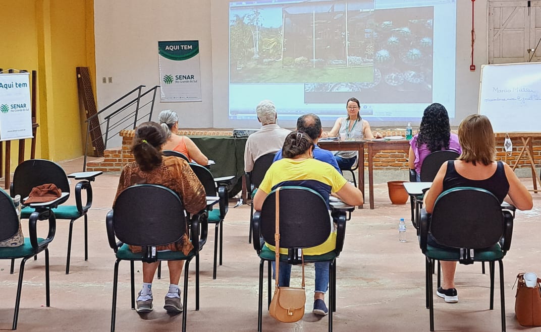 curso plantas medicinais