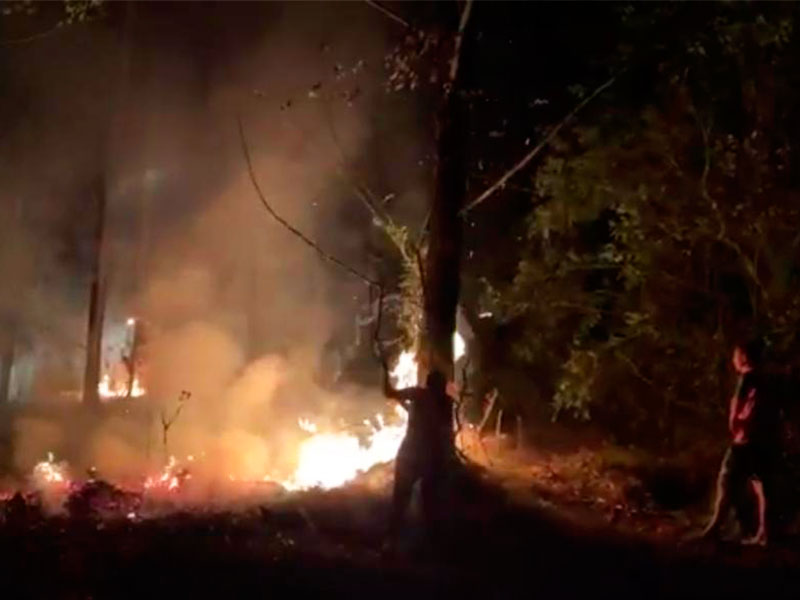 Seca contribui para incêndios em Cerrito e Pedro Osório