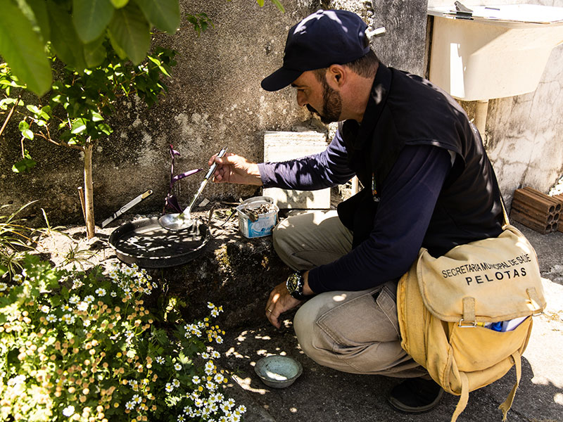 Pelotas monitora caso suspeito de dengue
