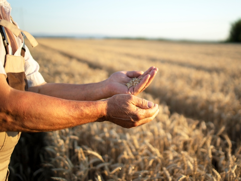 Pelotas participa de reunião do IBGE sobre produção agrícola
