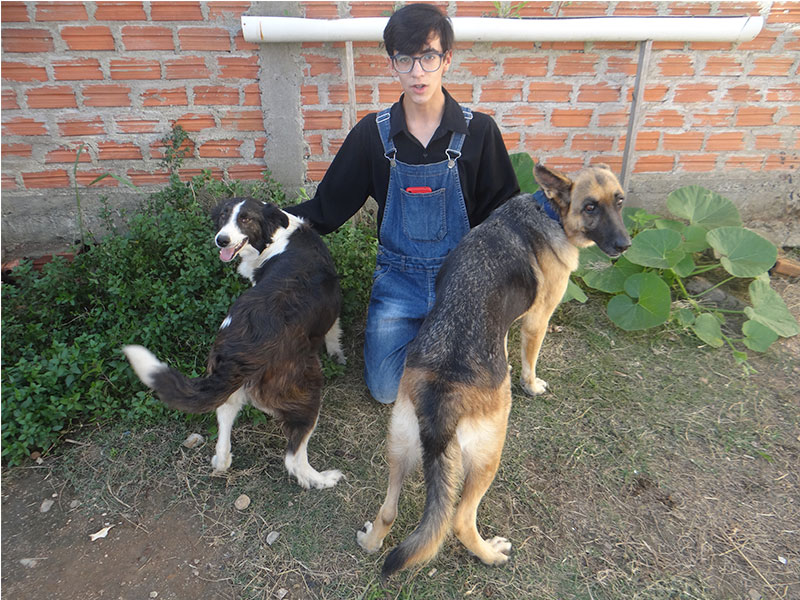 Piratini: Garoto de 13 anos vende latinhas para ajudar causa animal do Projeto São Francisco de Assis