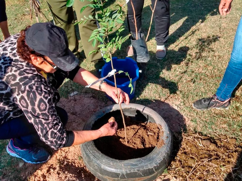 Participantes de grupo do CRAS Esperança plantam mudas de árvores nativas em São Lourenço do Sul