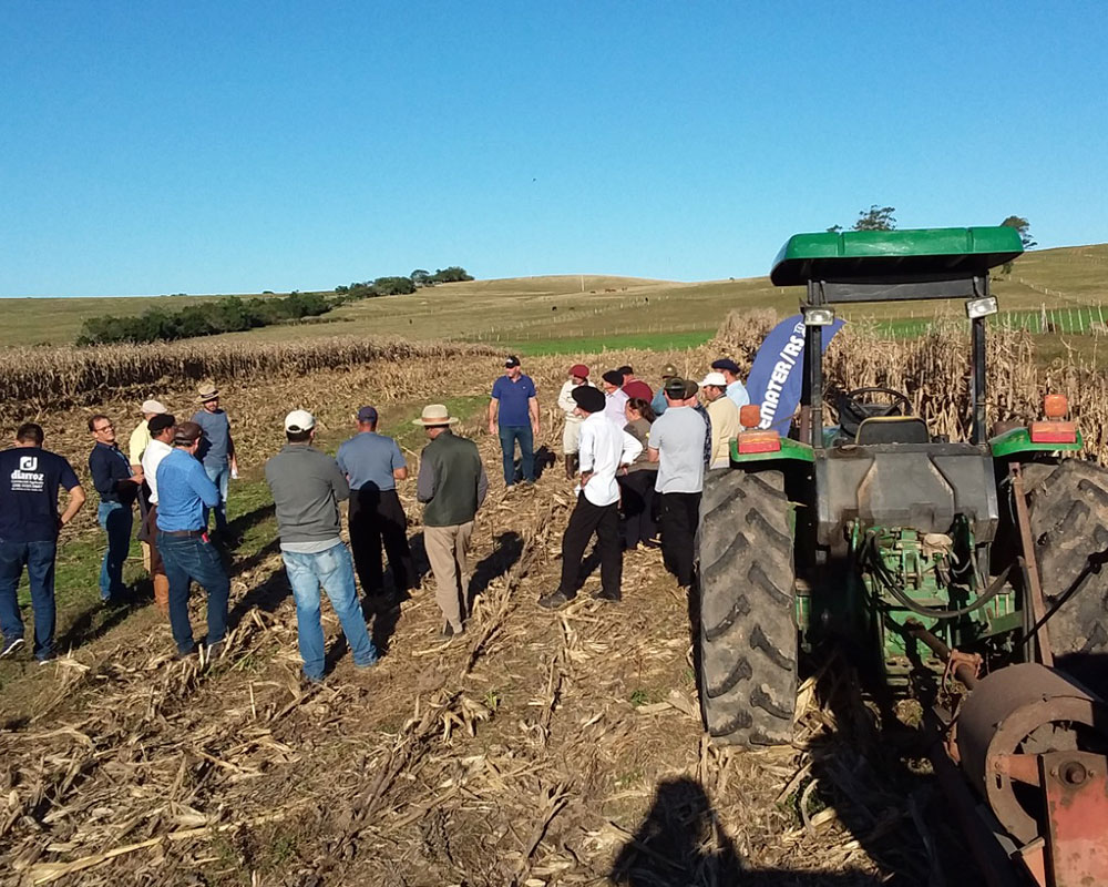 Dia-de-campo-milho