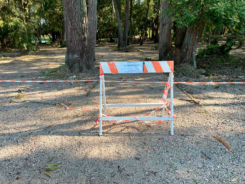 Pelotas: Com risco de queda de galhos, Parque da Baronesa é fechado