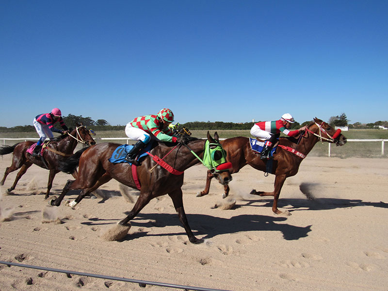 Pelotas: Jockey Club comemora seus 93 anos neste domingo (20)